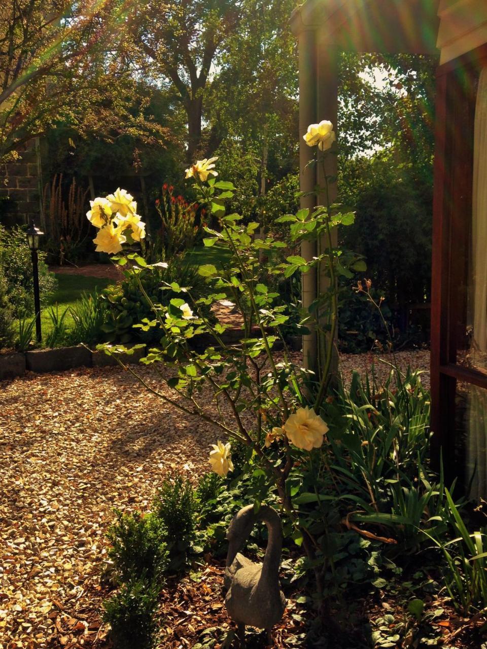Bindley House B&B Cottage Kilmore Exterior foto